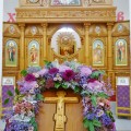 Photo 01
